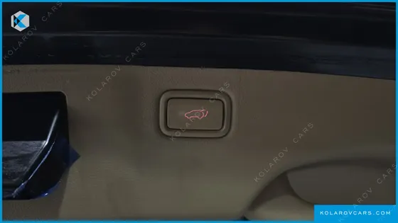 KIA CARNIVAL GASOLINE 7-SEATER LIMOUSINE