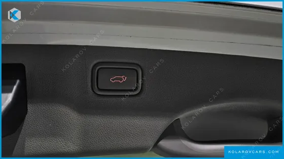 KIA CARNIVAL 9-SEATER NOBLESSE