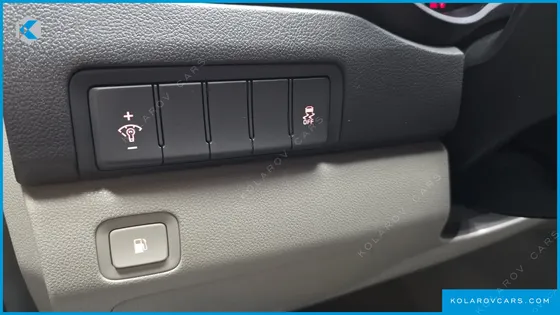 KIA CARNIVAL 9-SEATER LUXURY