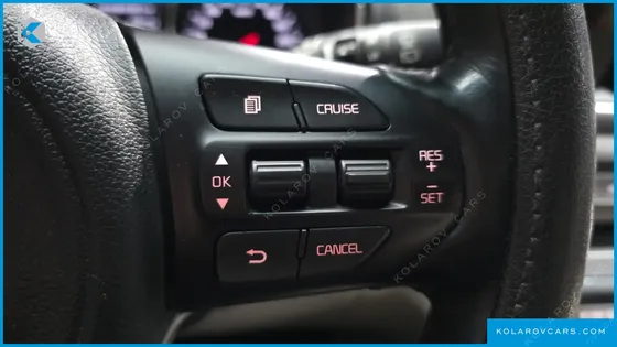 KIA CARNIVAL 9-SEATER LUXURY