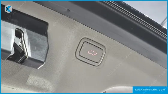 KIA CARNIVAL 9-SEATER NOBLESSE