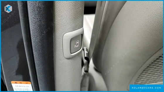 KIA CARNIVAL 9-SEATER NOBLESSE SPECIAL
