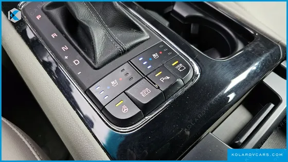 KIA CARNIVAL 9-SEATER NOBLESSE SPECIAL