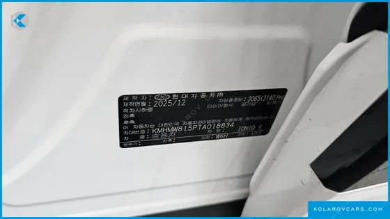 HYUNDAI IONIQ 9 PERFORMANCE TYPE AWD