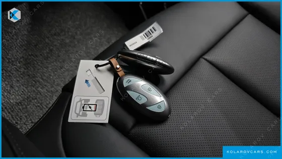 HYUNDAI STARIA EV LOUNGE 11-SEATER
