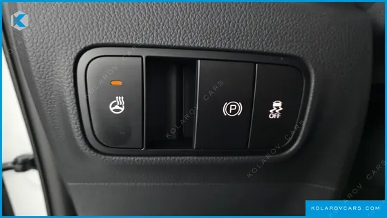 KIA RAY SIGNATURE