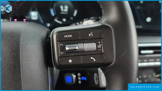 HYUNDAI PALISADE HEV 2.5T 2WD 9-SEATER