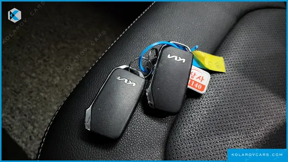 KIA RAY SIGNATURE