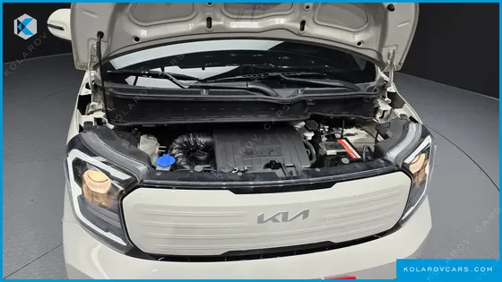 KIA RAY SIGNATURE