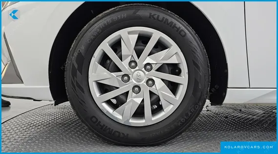 HYUNDAI ELANTRA (AVANTE) 1.6 LPI (RENTAL CAR)