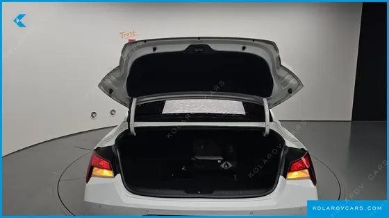 HYUNDAI ELANTRA (AVANTE) 1.6 LPI (RENTAL CAR)