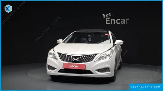 HYUNDAI GRANDEUR LPG HG300 HANDICAPPED ONLY