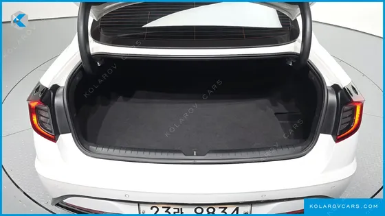 HYUNDAI SONATA 2.0 LPG(DISABLED PERSON)