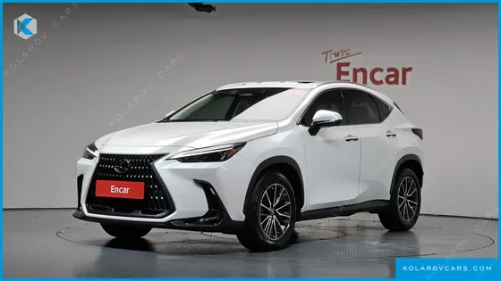 LEXUS NX PREMIUM