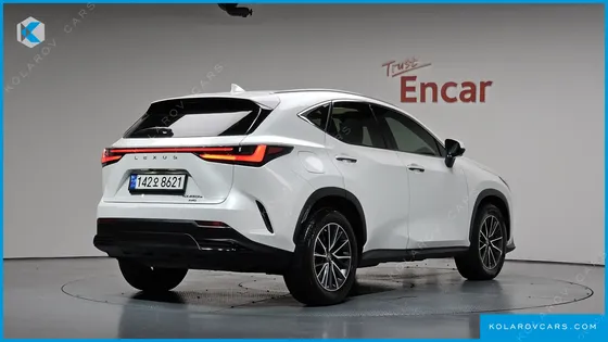 LEXUS NX PREMIUM