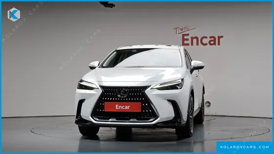 LEXUS NX PREMIUM