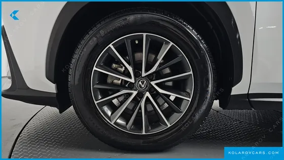 LEXUS NX PREMIUM