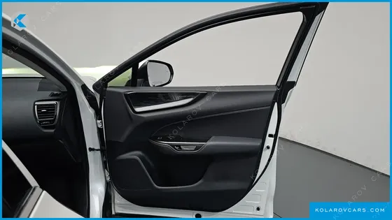 LEXUS NX PREMIUM