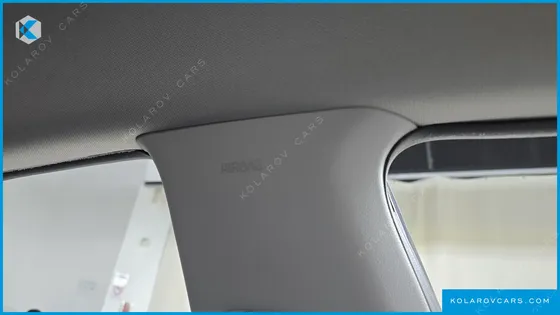 KIA K5 2.0 LPI RENTAL CAR