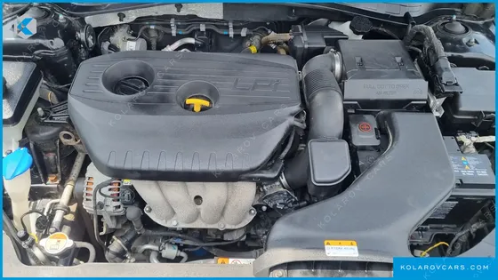 KIA K5 2.0 LPI RENTAL CAR