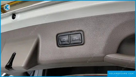 KIA CARNIVAL GASOLINE 9-SEATER SIGNATURE
