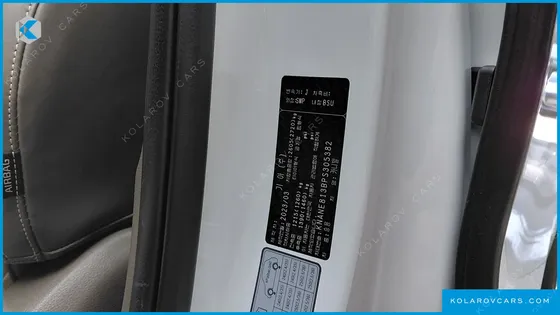 KIA CARNIVAL GASOLINE 9-SEATER SIGNATURE