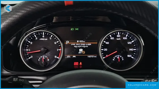 KIA CARNIVAL GASOLINE 11-SEATER NOBLESSE