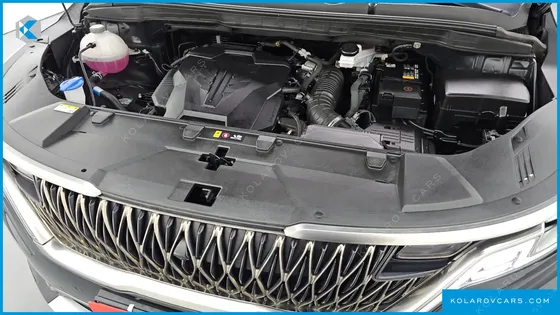 KIA CARNIVAL GASOLINE 9-SEATER HI-LIMOUSINE