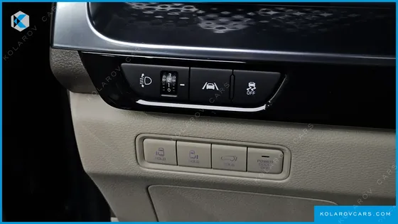 KIA CARNIVAL GASOLINE 9-SEATER HI-LIMOUSINE