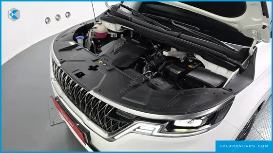 KIA CARNIVAL GASOLINE 9-SEATER SIGNATURE