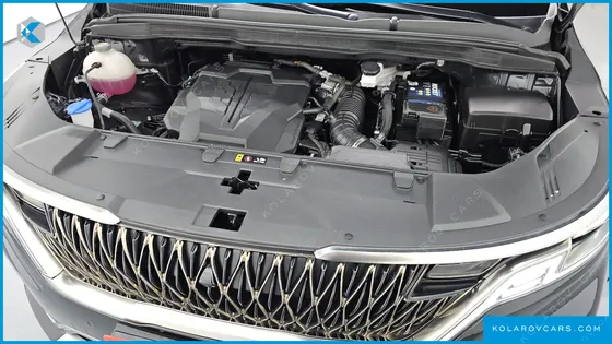 KIA CARNIVAL GASOLINE 9-SEATER HI-LIMOUSINE