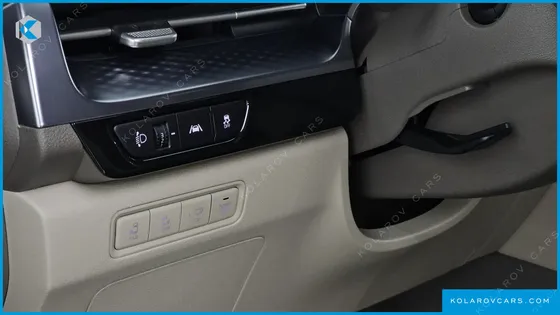 KIA CARNIVAL GASOLINE 9-SEATER HI-LIMOUSINE