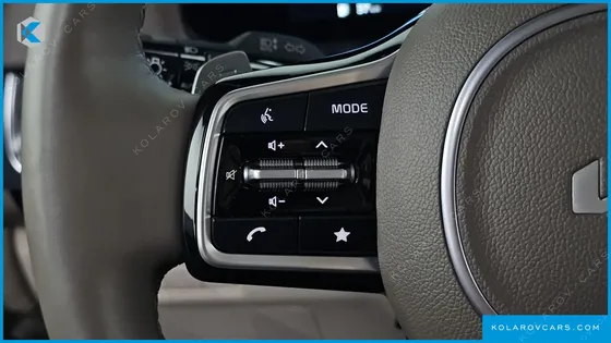 KIA CARNIVAL GASOLINE 9-SEATER HI-LIMOUSINE