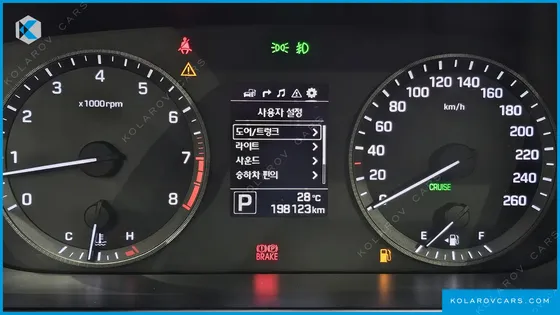 HYUNDAI SONATA LPI MODERN(HANDICAPPED)