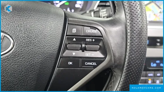 HYUNDAI SONATA LPI MODERN(HANDICAPPED)