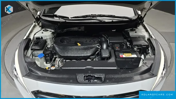 HYUNDAI SONATA LPI MODERN(HANDICAPPED)