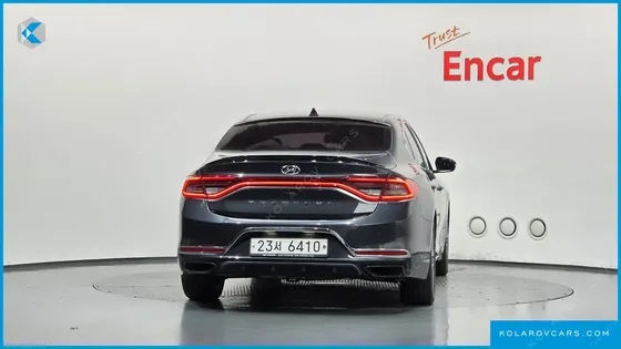 HYUNDAI GRANDEUR 3.0 LPI DSABLED PERSON