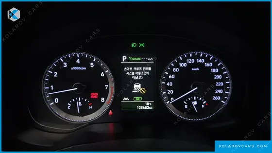 HYUNDAI GRANDEUR 3.0 LPI DSABLED PERSON