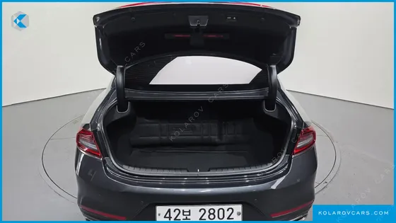 HYUNDAI GRANDEUR 3.0 LPI DSABLED PERSON