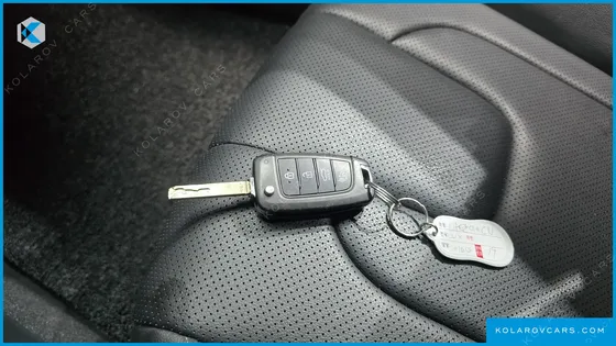 HYUNDAI ELANTRA (AVANTE) 1.6 LPI (RENTAL CAR)