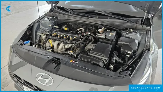 HYUNDAI ELANTRA (AVANTE) 1.6 LPI (RENTAL CAR)