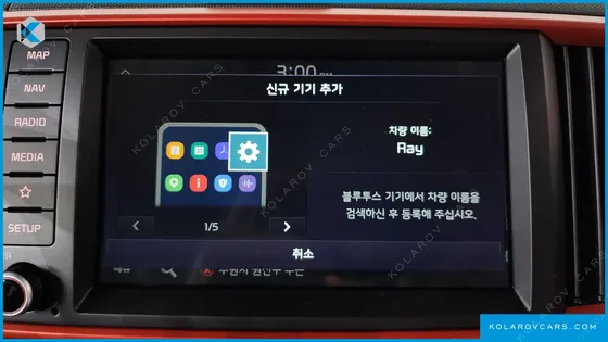 KIA RAY SIGNATURE