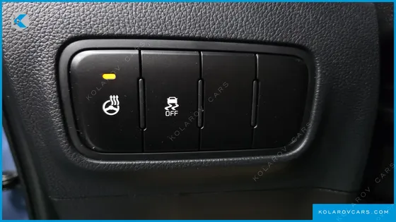 KIA RAY SIGNATURE
