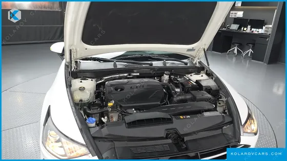 HYUNDAI SONATA 2.0 LPG(RENTAL CAR)