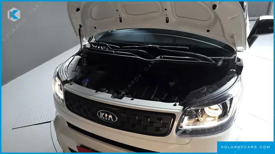 KIA RAY SIGNATURE