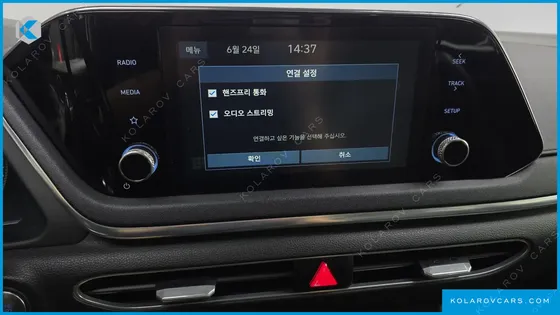 HYUNDAI SONATA 2.0 LPG(RENTAL CAR)