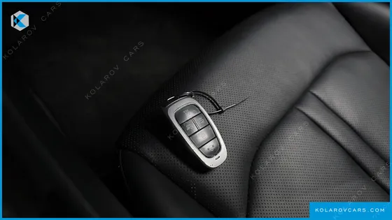 HYUNDAI SONATA 2.0 LPG(RENTAL CAR)