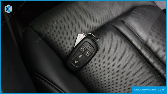 HYUNDAI SONATA 2.0 LPG(RENTAL CAR)