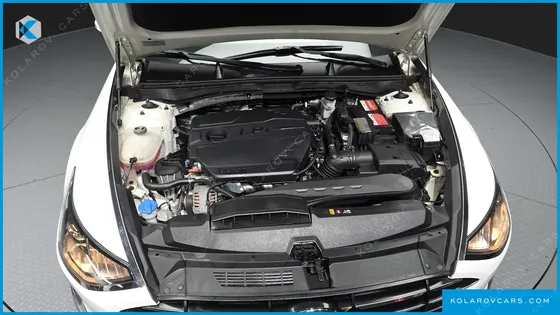 HYUNDAI SONATA 2.0 LPG(RENTAL CAR)