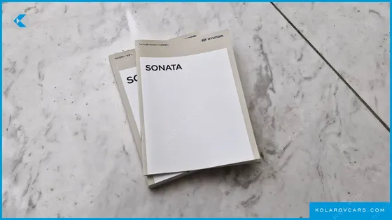 HYUNDAI SONATA 2.0 LPG(RENTAL CAR)